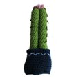 Knit Rattle Cactus