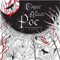 Edgar Allen Poe coloring book                                                                                           