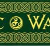 Celtic Warrior bumper sticker                                                                                           
