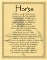 Horse Prayer poster                                                                                                     