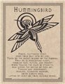 Hummingbird Prayer poster                                                                                               