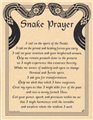 Snake Prayer poster                                                                                                     