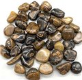 1 lb Stromatolite (onyx Brown) tumbled stones                                                                           