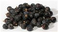 1 Lb Juniper Berries Whole (Juniperus communis)                                                                         