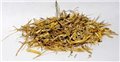 1 Lb Witches Grass cut (Agropryon repens)                                                                               