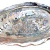 4" Abalone Shell incense burner (limited quanity)                                                                       