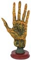 Alchemy Palmistry Hand                                                                                                  